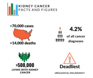 Kidney Cancer Statistics - KCCure